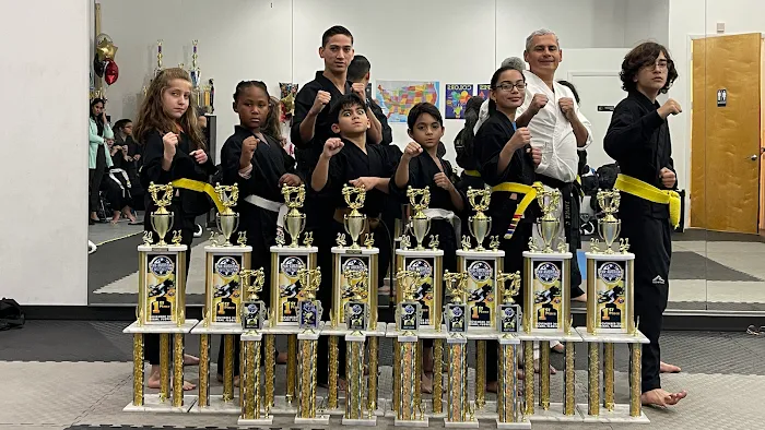 After School / Barak Martial Arts / Summer Camp Picture 1