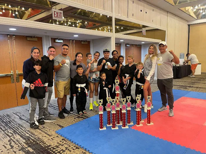 After School / Barak Martial Arts / Summer Camp Picture 10