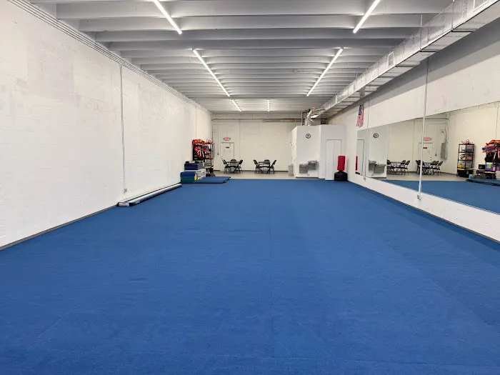 Vital Martial Arts Academy | Summer Camp Picture 3