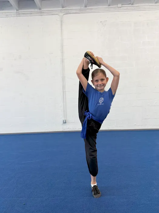 Vital Martial Arts Academy | Summer Camp Picture 1