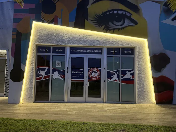 Vital Martial Arts Academy | Summer Camp Picture 8