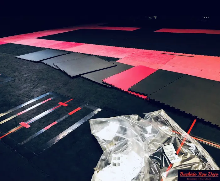 Bushido Ryu Dojo -Krav Maga, Karate, Jujitsu, Dania Beach Fort Lauderdale Picture 5