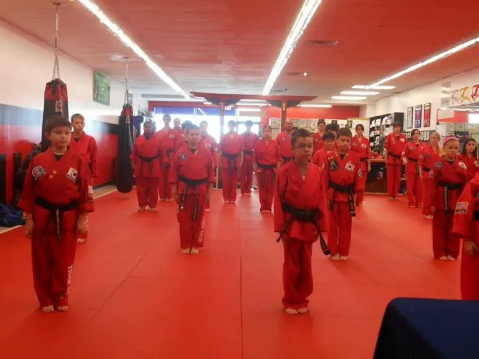 Family Taekwondo Picture 6