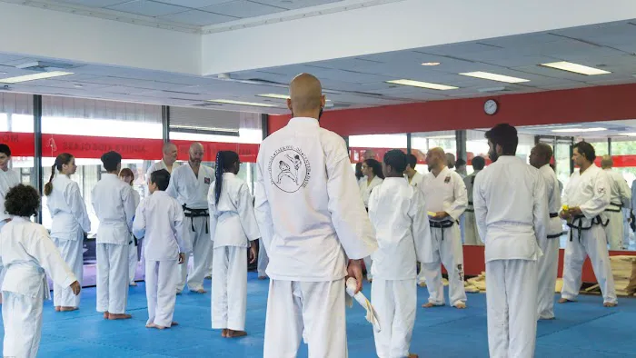 Traditional Taekwondo Center of Davie Picture 9