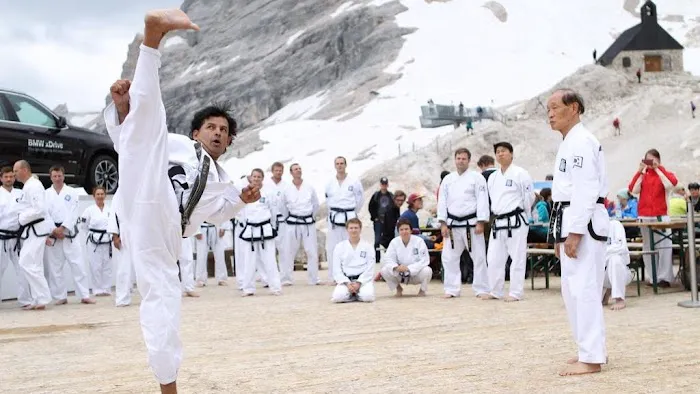 Traditional Taekwondo Center of Davie Picture 8