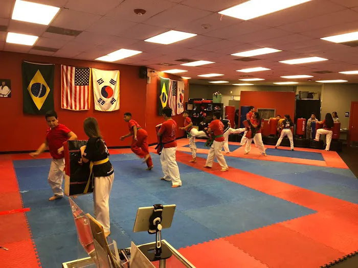 Extraordinary Martial Arts Picture 3