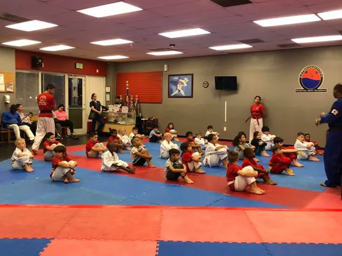 Extraordinary Martial Arts Picture 2