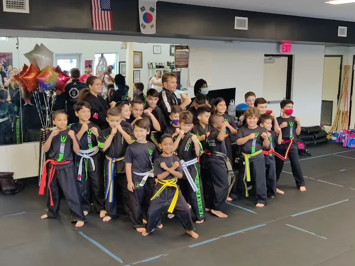 Karate America Picture 8