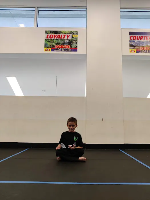 Karate America Picture 6