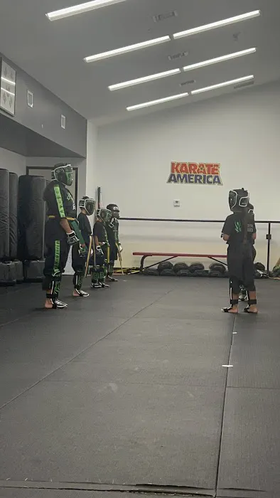 Karate America Picture 3