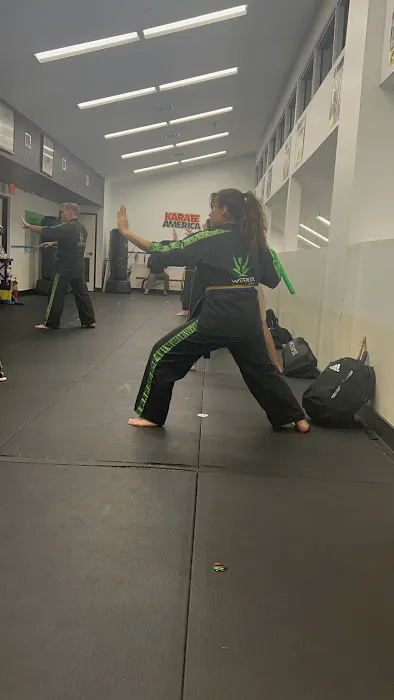 Karate America Picture 4