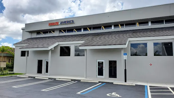 Karate America Picture 7