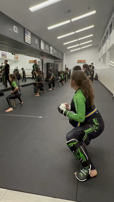 Karate America Picture 5