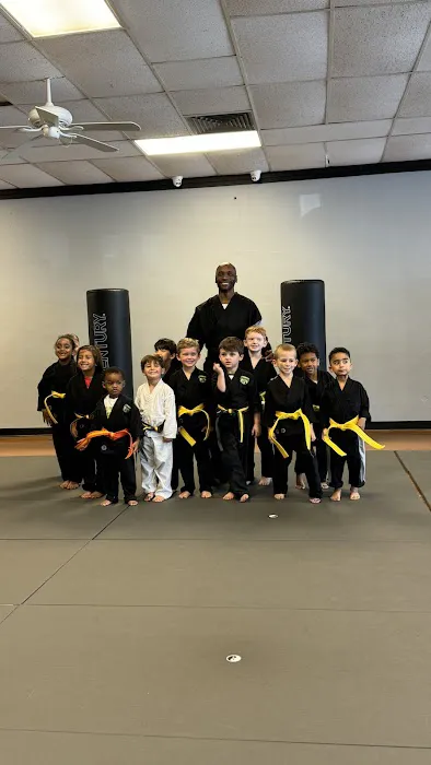 Twiggs Martial Arts Academy Picture 2