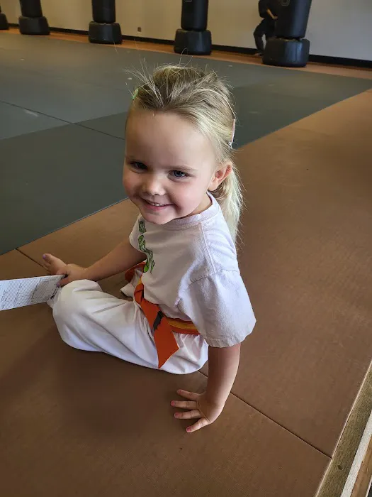 Twiggs Martial Arts Academy Picture 4