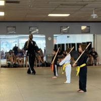 Twiggs Martial Arts Academy ico