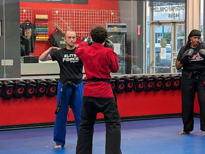 Elite Force Martial Arts Picture 7