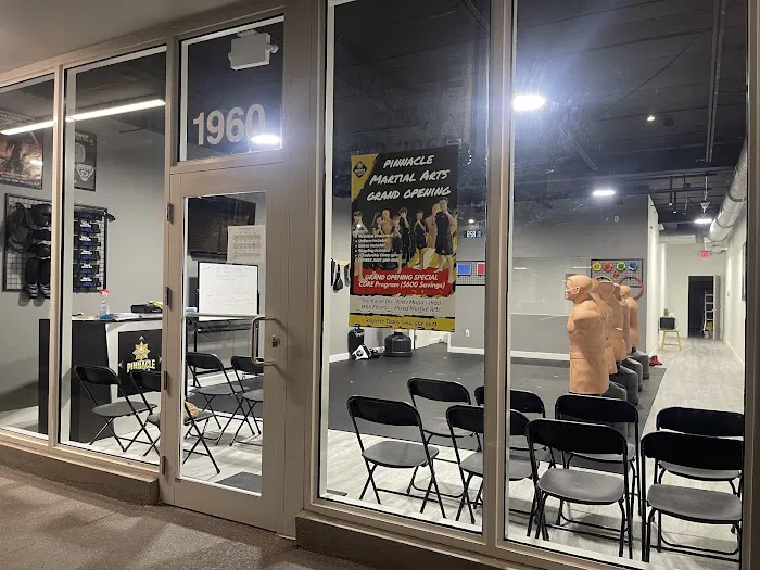 Pinnacle Martial Arts Picture 1