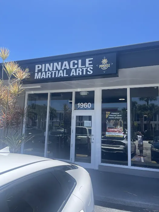 Pinnacle Martial Arts Picture 2
