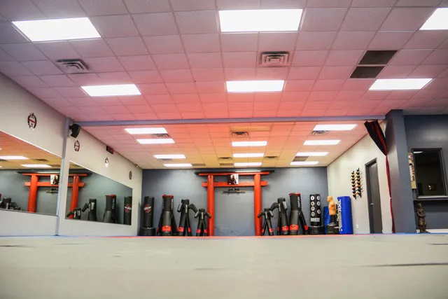 International Martial Arts Academy World Headquarters Picture 2
