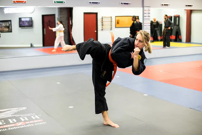 International Martial Arts Academy World Headquarters Picture 7