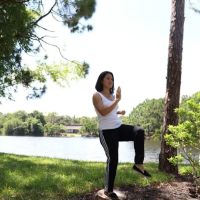 Zen Wing Chun Kung Fu ico