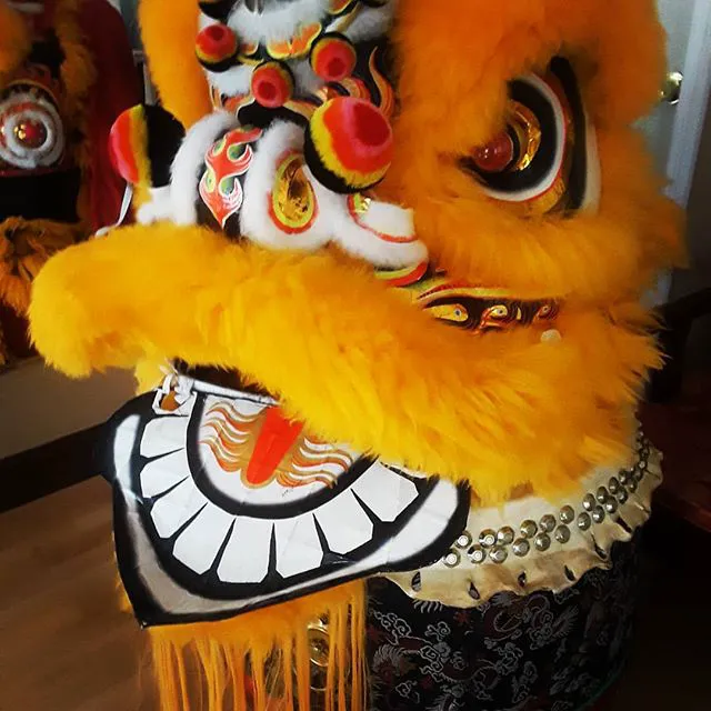 Zen Wing Chun Kung Fu Picture 7