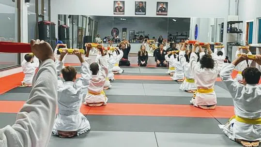 International Martial Arts Academy - South Picture 2