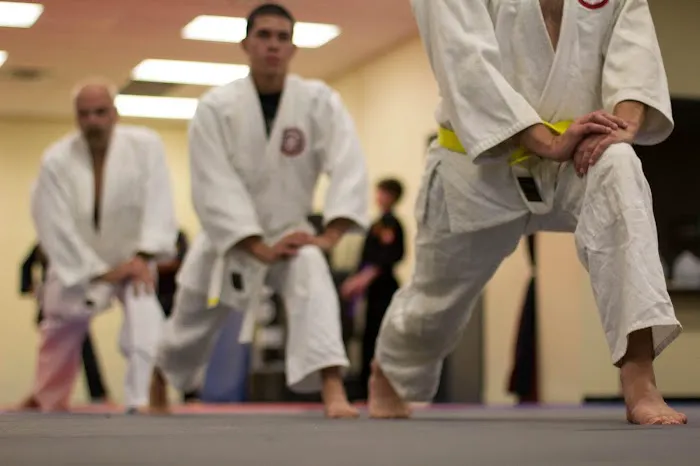 International Martial Arts Academy - South Picture 8