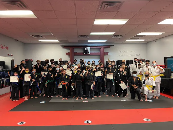 International Martial Arts Academy - South Picture 5