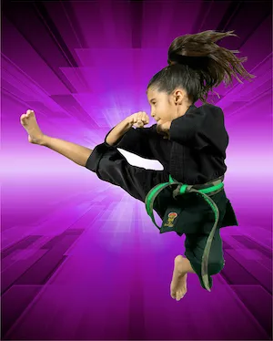 International Martial Arts Academy - South Picture 4