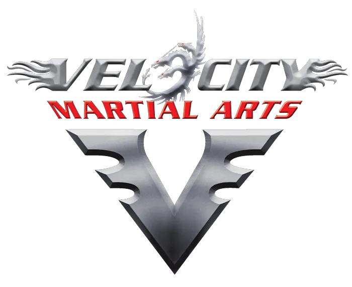Velocity Martial Arts Picture 5