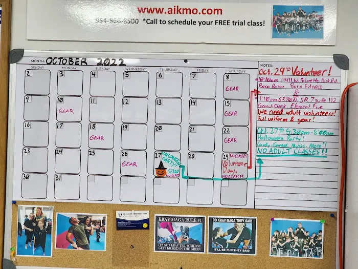 AIKMO Krav Maga Picture 3