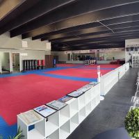 G3 America Taekwondo ico