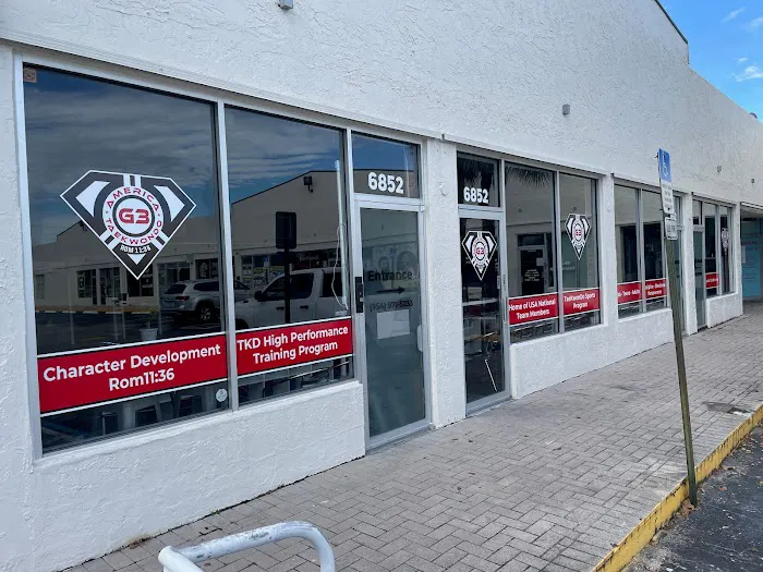 G3 America Taekwondo Picture 4