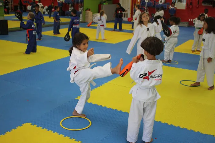 G3 America Taekwondo Picture 5