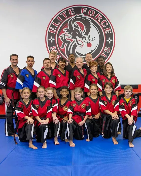 Elite Force Martial Arts Picture 1