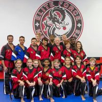 Elite Force Martial Arts ico