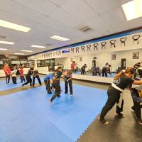 Bannis Martial Arts ico