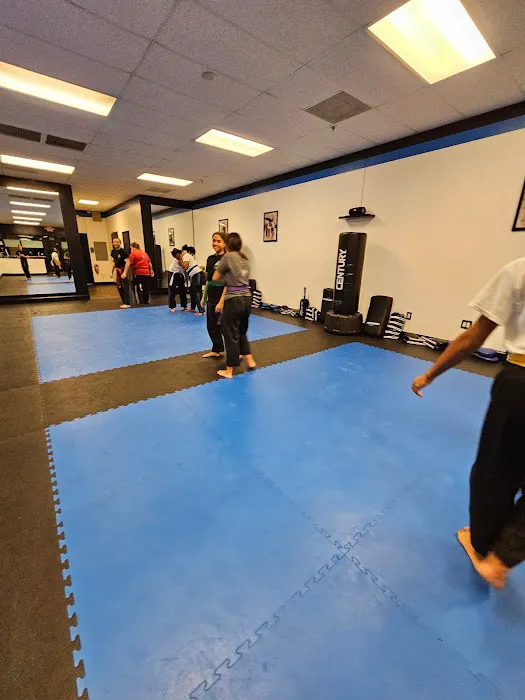 Bannis Martial Arts Picture 3