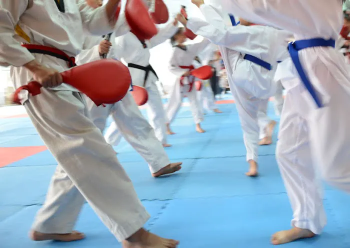 TRIBO afterschool & Camps Picture 3