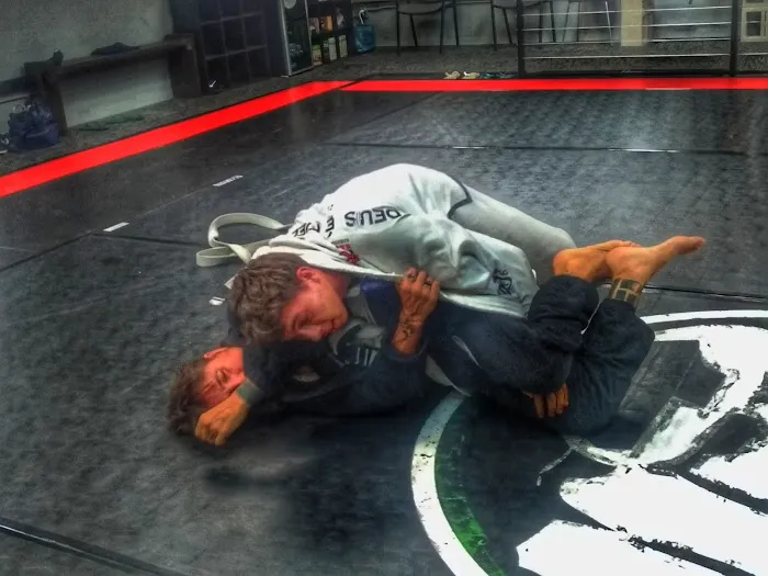 TRIBO afterschool & Camps Picture 6