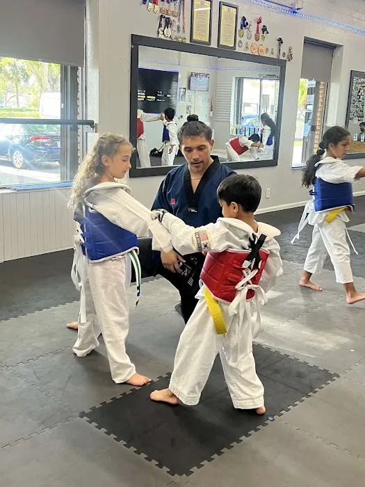 Movement Taekwondo Center - World Champion Center Picture 4