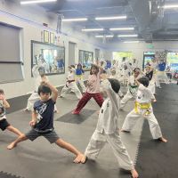 Movement Taekwondo Center - World Champion Center ico