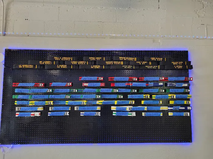 Movement Taekwondo Center - World Champion Center Picture 8