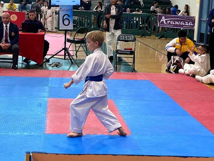 Elite karate Academy Picture 1
