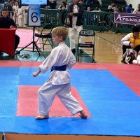 Elite karate Academy ico