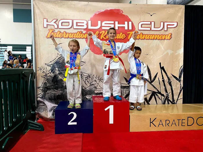 Elite karate Academy Picture 3