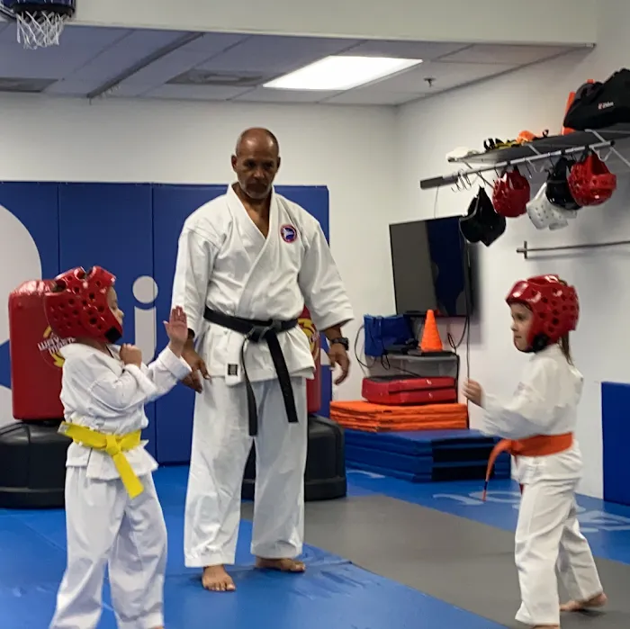 Elite karate Academy Picture 6