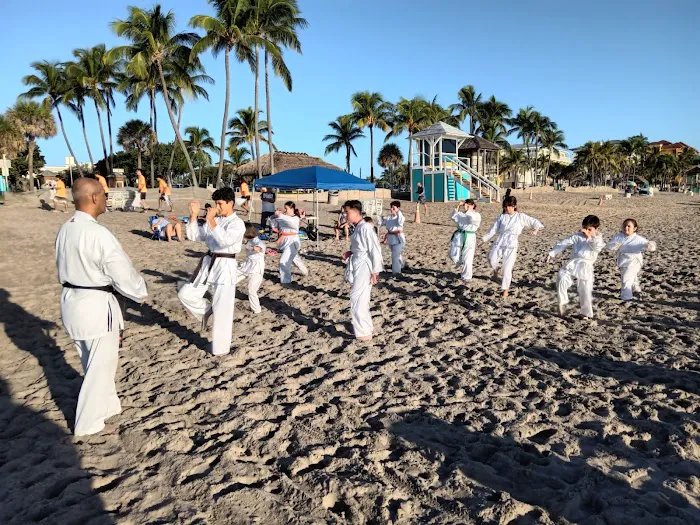 Elite karate Academy Picture 7